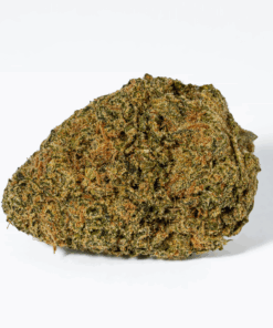 Night Nurse (AA) - Image 3