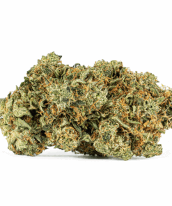 Motor Breath #15 (AAAA) - Image 4