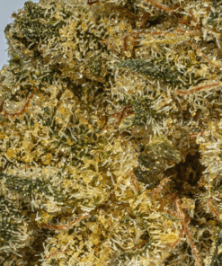 Obama Kush (AA) - Image 5