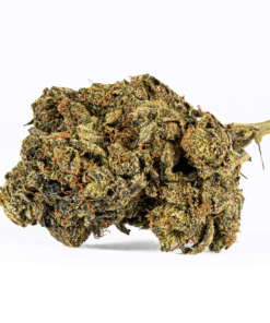 Black Afghani (AAA) - Image 3