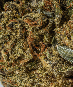 Black Afghani (AAA) - Image 5