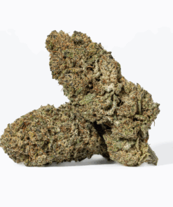 Head Betty (AA) - Image 5