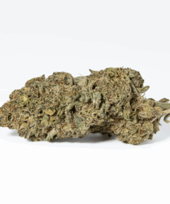 Head Betty (AA) - Image 2