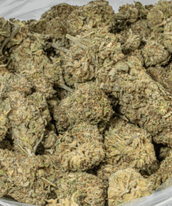 Head Betty (AA) - Image 3