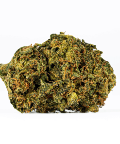 Sour Tangie (AA) - Image 3
