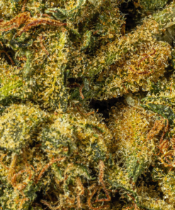 Sour Tangie (AA) - Image 5