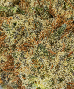 Extreme Cream (AAA) - Image 5