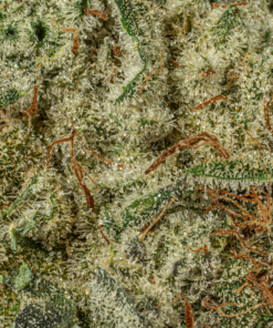Slurricane (AA+) - Image 5