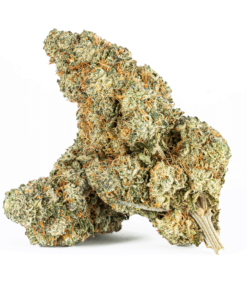 Strawberry Cough (AAA) - Image 1