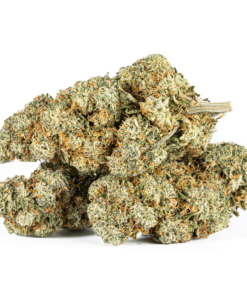 Strawberry Cough (AAA) - Image 2