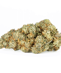 Strawberry Cough (AAA) - Image 3