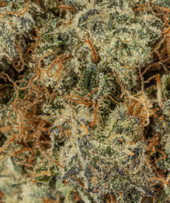 Strawberry Cough (AAA) - Image 5