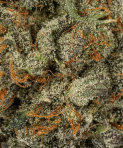 Pinkman Goo (AAAA) - Image 4