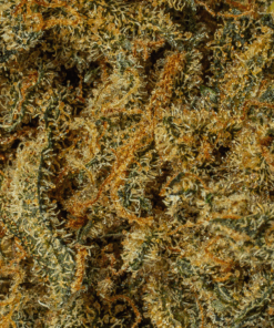 Orange Mints (AAA) - Image 4