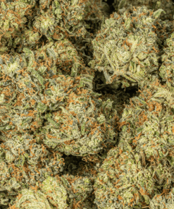 Ace Killer Og (AAA+) - Image 4