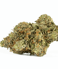 Ace Killer Og (AAA+) - Image 5