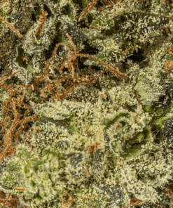 Ace Killer Og (AAA+) - Image 3
