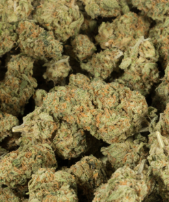 Alaskan Thunder Fuck (AAA) - Image 4