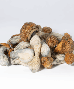 Blue Meanies Mushrooms - Image 2