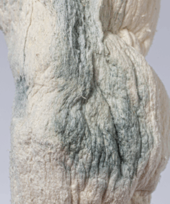 Blue Meanies Mushrooms - Image 3