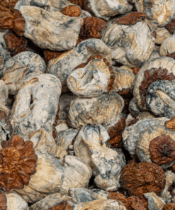 B+ Mushrooms - Image 5