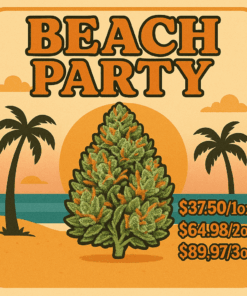 Beach Party (Promo) - Image 1