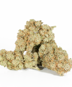 Beaver Tail (AA+) - Image 3