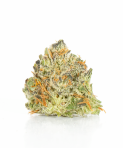 Blackberry x Blueberry (AA+) - Image 3