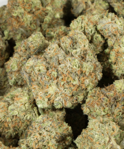 Blackberry x Blueberry (AA+) - Image 4
