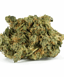 Cali Bubba (AA) - Image 3