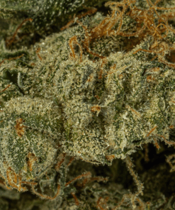 Cali Bubba (AA) - Image 4