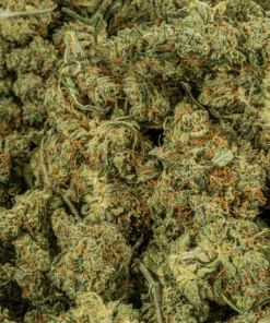 Cali Bubba (AA) - Image 5