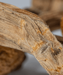 Super Thai Mushrooms - Image 5