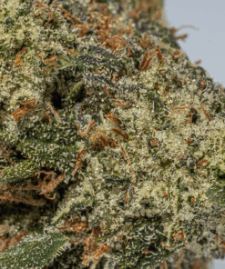 Chemical Weapon (AAA+) - Image 4