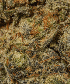 Blue Face (AAA) - Image 5