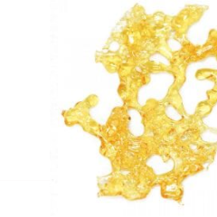Concentrates