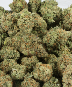 Critical Mass (AA+) - Image 4