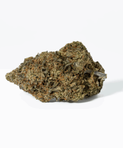 Platinum Glue (AAA+) - Image 3