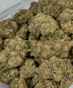 Platinum Glue (AAA+) - Image 5