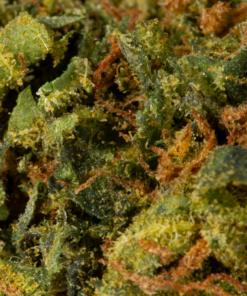 Durban Poison (AA) - Image 6