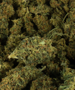 Durban Poison (AA) - Image 5