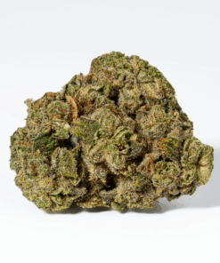 98 Lemon Haze (AA) - Image 3