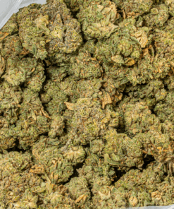 98 Lemon Haze (AA) - Image 4