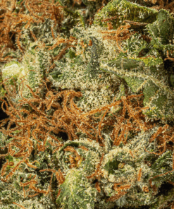 OJ Kush (AA+) - Image 5