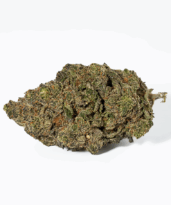 Grunk Panda (AAAA) - Image 5