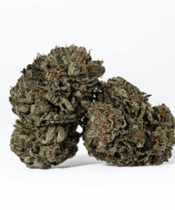 Gas Daddy (AAAA) - Image 1