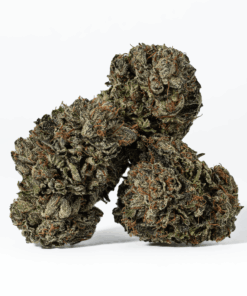 Gas Daddy (AAAA) - Image 5