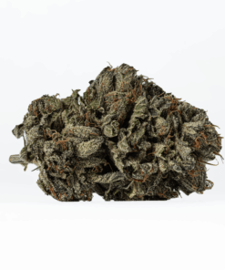 Gas Daddy (AAAA) - Image 2