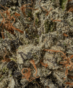 Gas Daddy (AAAA) - Image 3