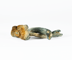 A-One Mushrooms - Golden Teacher - Image 1